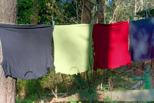 Four T. shirts in different colors on a clothesline with blue ugly old clothespins between two pine trees in a sun-drenched forest, concept photo