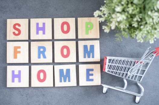 shopping online at home. home shopping online. Online shopping. Buy products at home. Purchase products on website.