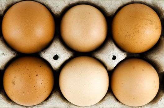 six chicken eggs stacked in cardboard packaging