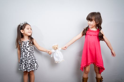 girl fight. the conflict between two sisters. the kids are fighting over a toy