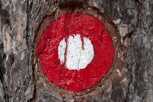 hiking sign, which is drawn on the tree