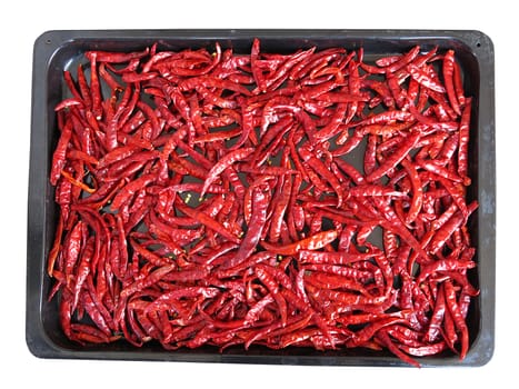 red dried chili on black tray isolated on white background for Thai food