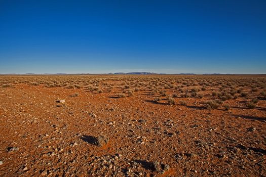 The bushmanland is an arid semi-desert area in the Northern Cape Province of South Africa and is named after the hunter-gatherer Bushman (also known as San) people who lived here