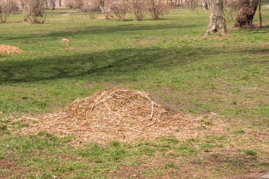 A heap of various crushed tree branches on green grass