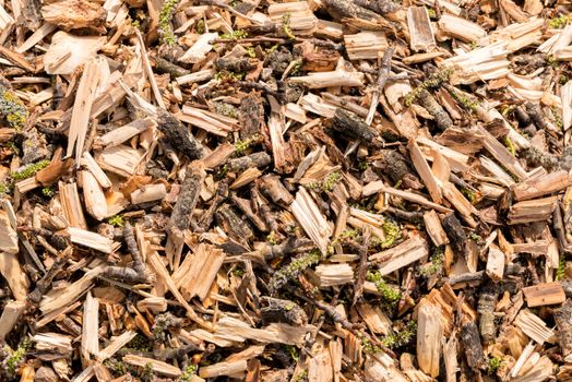 Close up detail of various crushed tree branches. It can be used as background