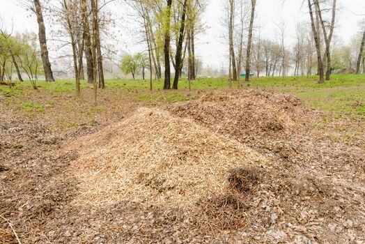 A heap of various crushed branches and leaves to prepare compost under the trees in the forest