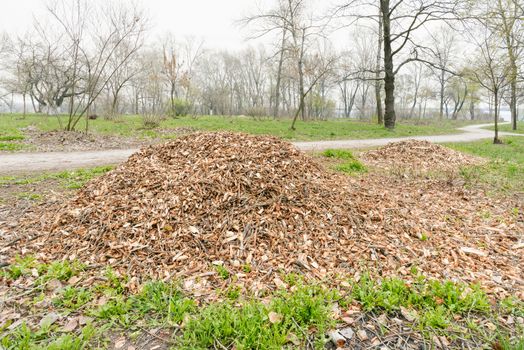 A heap of various crushed branches under the trees in the forest