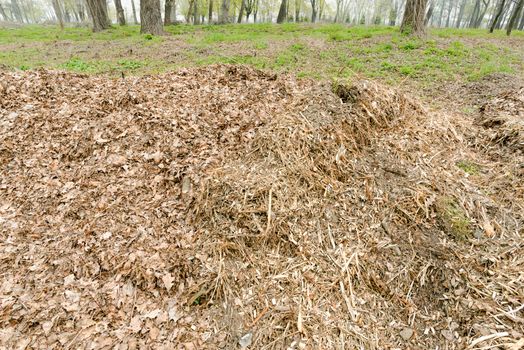 A heap of various crushed branches and leaves to prepare compost under the trees in the forest