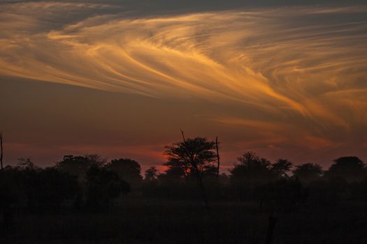 Interesting cloud formations at sunset over the bushveld of Kruger National Park.