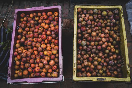 Crab apples (Malus doumeri) sold in Luang Prabang Morning Market in Laos that shows the life, culture and livelihood of the local people