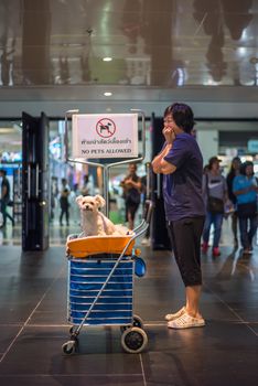 Bangkok, Thailand - July 1, 2017 : Unidentified asian woman feeling shocked when her and her pet (The dog) on shopping cart found warning sign No Pets Allowed at entrance door for exhibit hall or expo