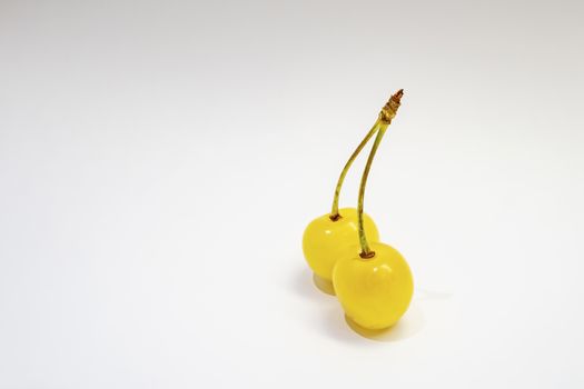 yellow cherry on a white background