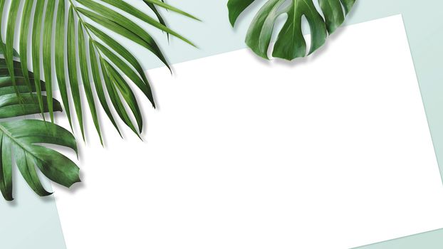 Summer tropical leaves with blank white paper