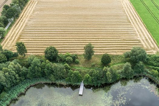 Harvested field with clear parallel furrows behind a heavily overgrown fishing pond, aerial photograph taken diagonally with the drone