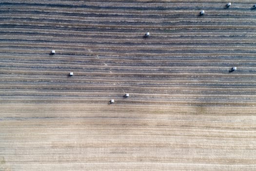 Harvested field, aerial view, with large rollers of straw on arable land, flight altitude about 100 meters 