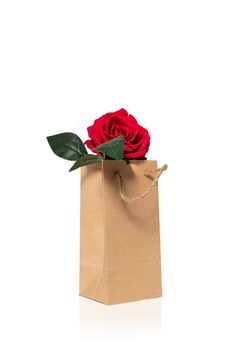 A beautiful single blooming red silk rose in a brown paper bag. Isolated with reflection on white background.