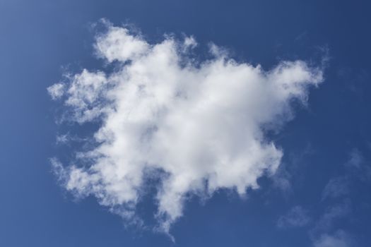 Background of a one single cumulus cloud with a blue clear sky