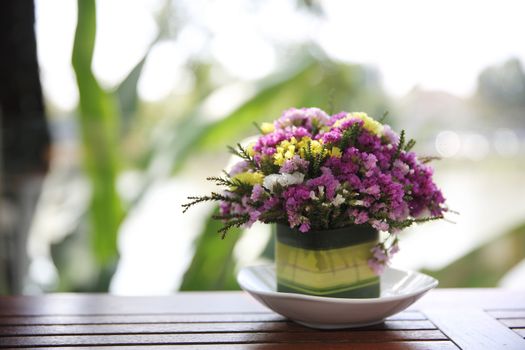 flower in jar