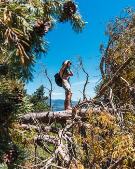 Young male photographer taking pictures of the landscape of the Pyrenees mountains climbed on a tree fallen by storm Gloria