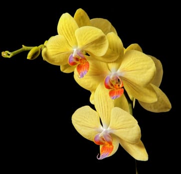 Beautifully presented and photographed florals in the Studio.