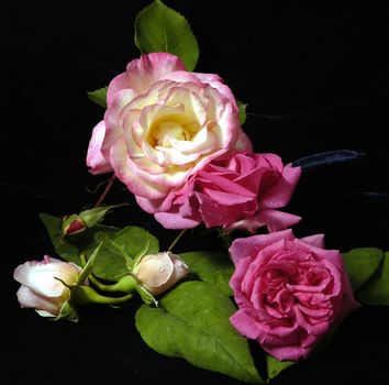 Beautifully presented and photographed florals in the Studio.