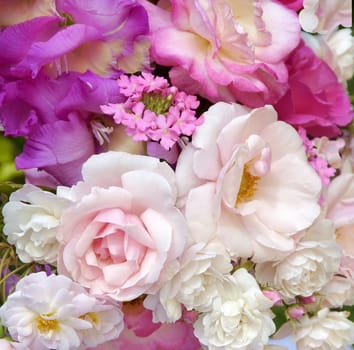 Beautifully presented and photographed florals in the Studio.