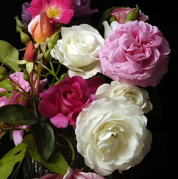 Beautifully presented and photographed florals in the Studio.