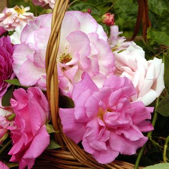 Beautifully presented and photographed florals in the Studio.