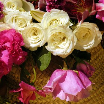 Beautifully presented and photographed florals in the Studio.