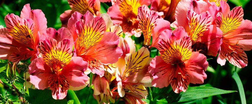 Beautifully presented and photographed florals in the Studio.