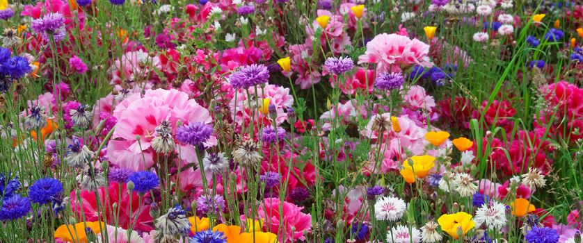 Beautifully presented and photographed florals in the Studio.