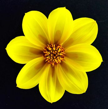 Beautifully presented and photographed florals in the Studio.