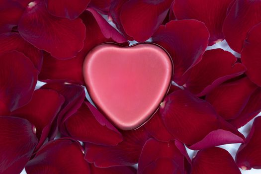 A shiny red metal heart on a bed of red rose petals