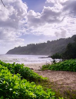 The beach along the coast of Kauai, Hawaii.