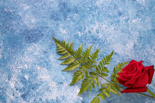 A beautiful single blooming red rose and a sprig of green fern on blue and white acrylic background.