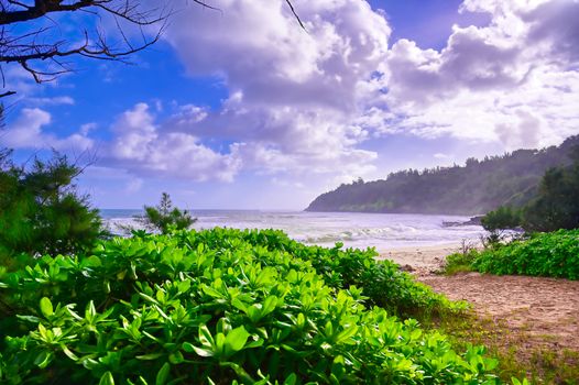 The beach along the coast of Kauai, Hawaii.