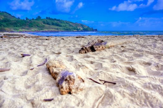 The beach along the coast of Kauai, Hawaii.