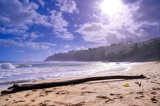 The beach along the coast of Kauai, Hawaii.