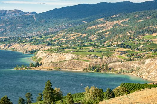 Magnificent view over Okanagan lake inlet with orchard farms on the shore and mountains on background