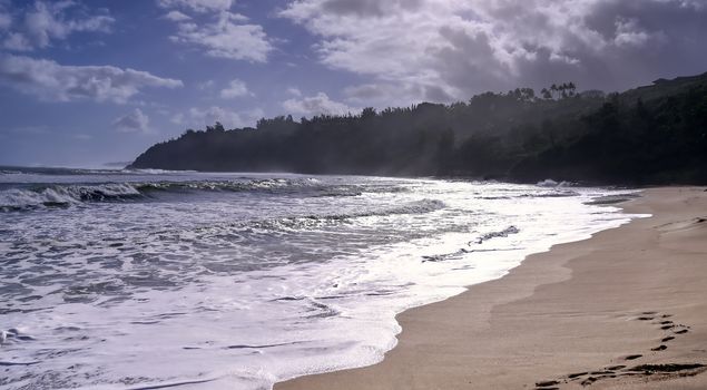 The beach along the coast of Kauai, Hawaii.