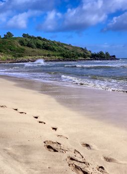 The beach along the coast of Kauai, Hawaii.