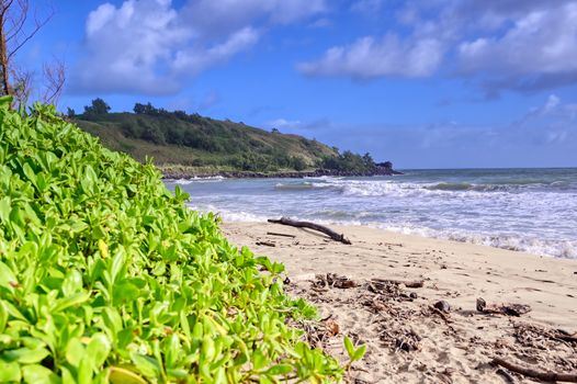 The beach along the coast of Kauai, Hawaii.