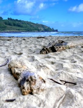 The beach along the coast of Kauai, Hawaii.