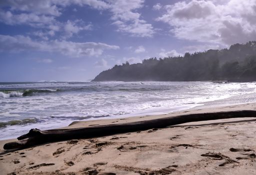 The beach along the coast of Kauai, Hawaii.