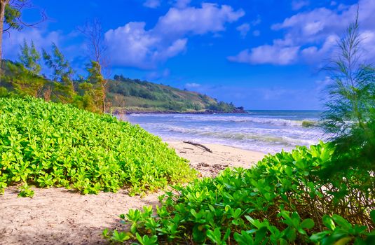 The beach along the coast of Kauai, Hawaii.