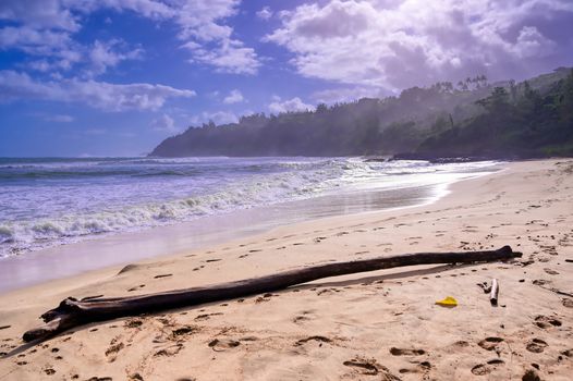 The beach along the coast of Kauai, Hawaii.