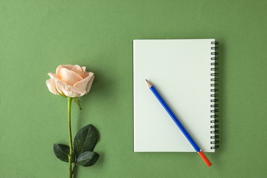 A spiral notebook with white empty page, blue pencil and peach color rose. Isolated on old wooden background. Mock up template wtih empty space.