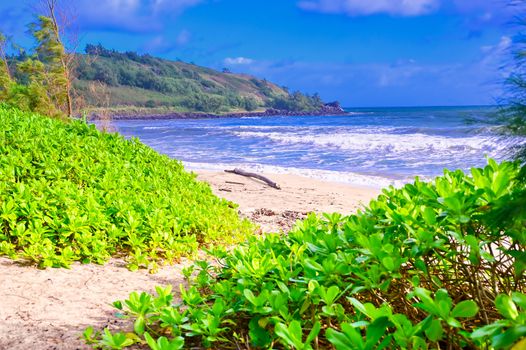 The beach along the coast of Kauai, Hawaii.