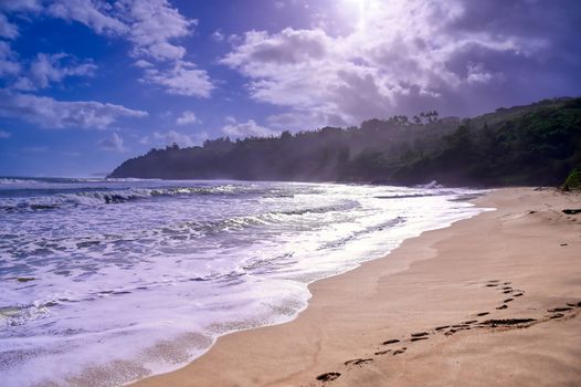 The beach along the coast of Kauai, Hawaii.