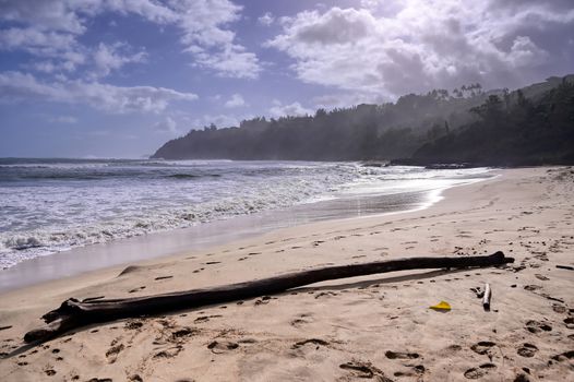 The beach along the coast of Kauai, Hawaii.